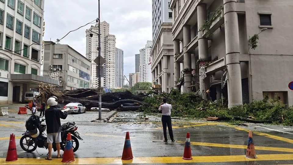 pokok tumbang,perodua axia,bukit bintang