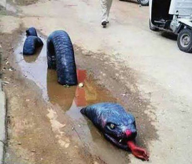 18809-2015-bengaluru-anaconda-pothole-1.jpg
