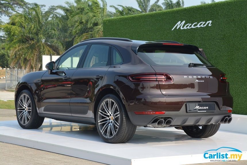 38591-macan_003.jpg