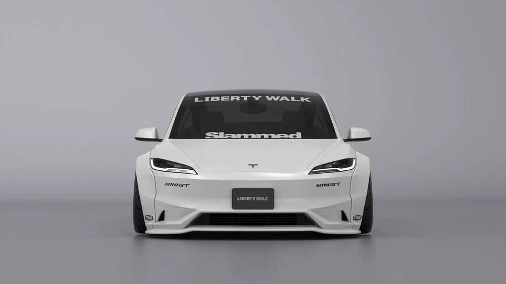 Tesla Model 3 Widebody (1)