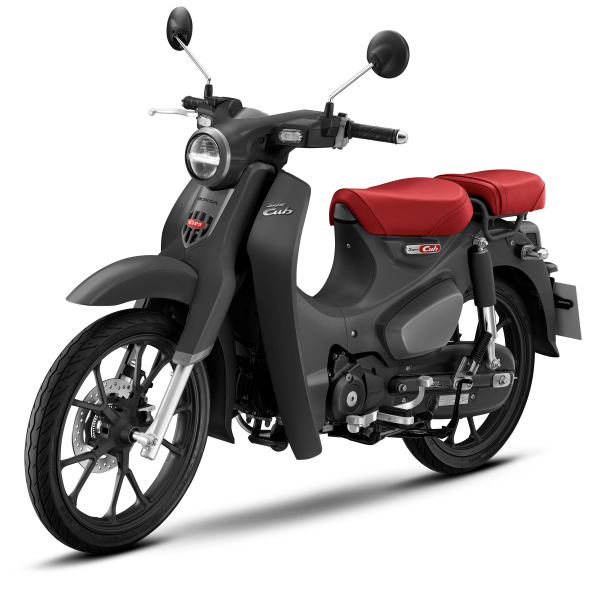 MATT GENTLE BLACK 2026