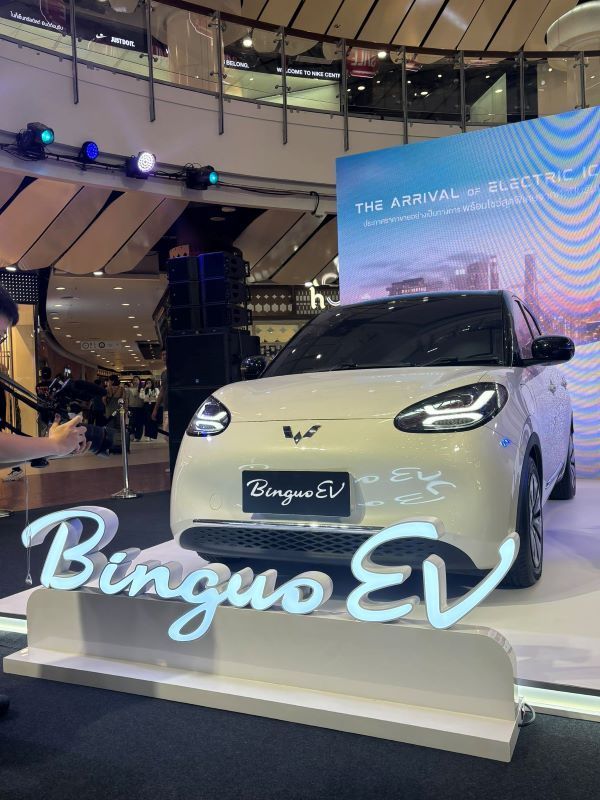 Wuling Binguo EV 2024