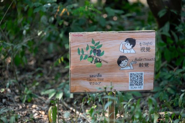 เจาะลึกอาณาจักรบ้านโพธิ์! ไลน์ผลิต Multi-Pathway ปั้น Land Cruiser FJ - Hilux Travo-e 18