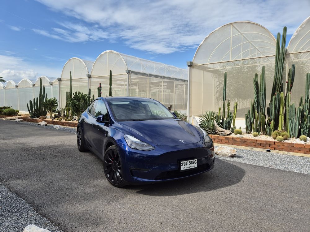 เลดี้โก (Lady go) Tesla Model Y (1)