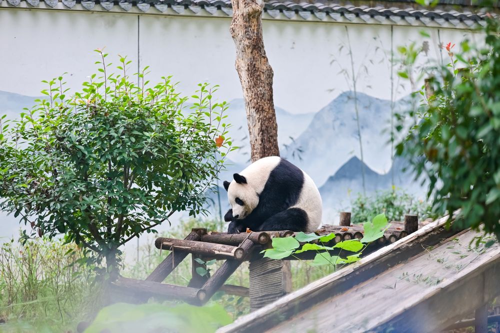 Wuhu China (2)