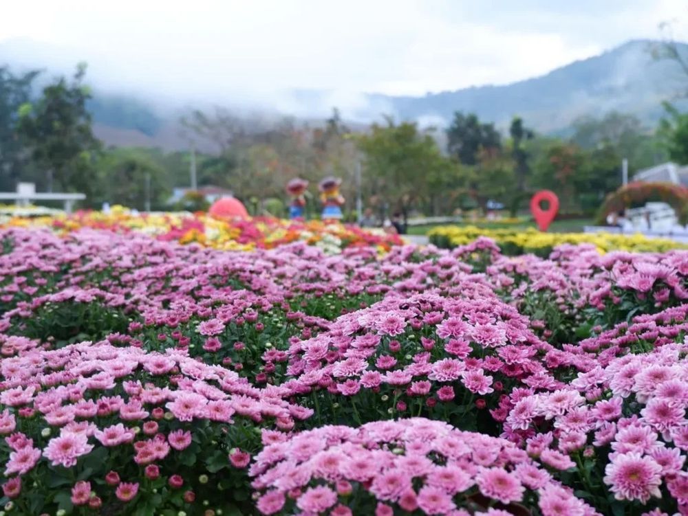 แก่นมะกรูด จ.อุทัยธานี