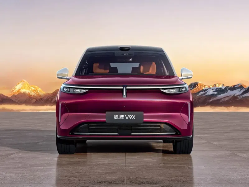 Wey V9X