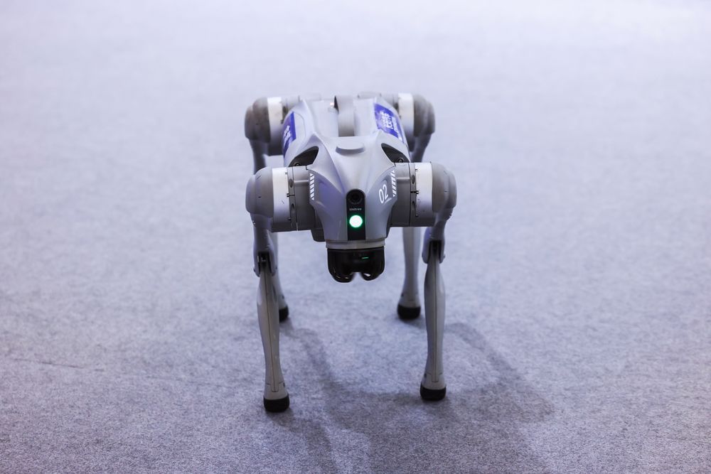 CHANGAN Dog