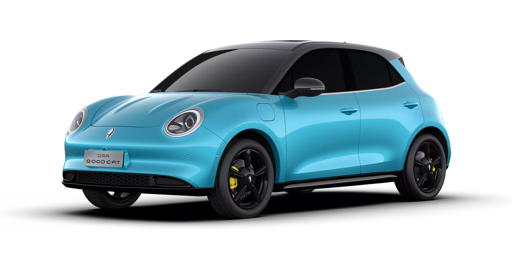 ORA Good Cat