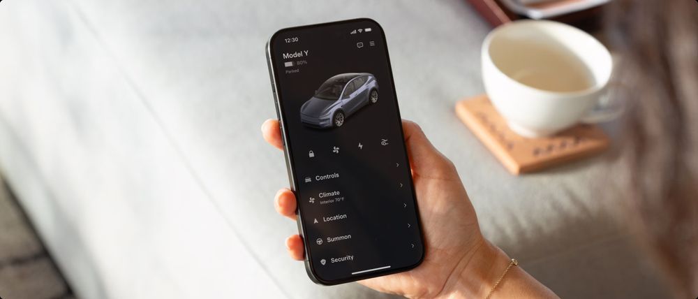 Tesla Model Y 2025 Application