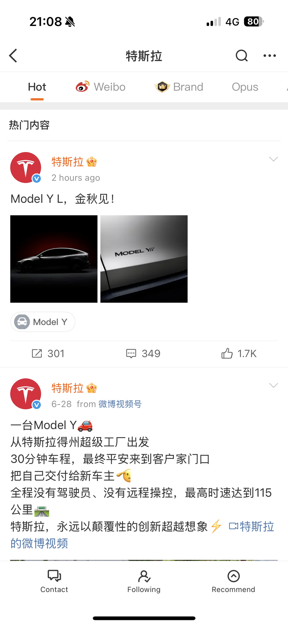 Weibo Tesla China Model Y L
