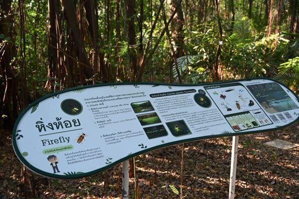 เจาะลึกอาณาจักรบ้านโพธิ์! ไลน์ผลิต Multi-Pathway ปั้น Land Cruiser FJ - Hilux Travo-e 17