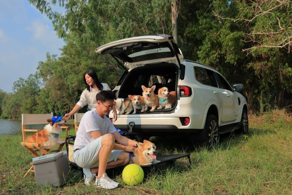 FORD ลุยกลยุทธ์โลก Ready Set Ford ยกระดับนวัตกรรม-ประสบการณ์ มัดใจลูกค้า 2026 4