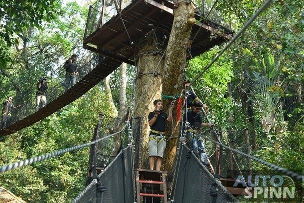 10. สนุกกับ Doitung Tree Top Walk