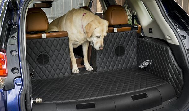Nissan Rogue Dogue Concept รถต้นแบบที่คนรักน้องหมาต้องการ