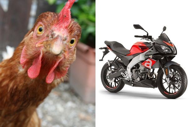 โผล่อีกหนึ่ง Ducati Multistrada รุ่นที่เล็กลงและใช้สวิงอาร์มคู่