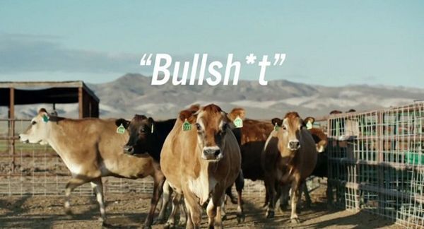 Toyota เสียดสีนักวิจารณ์ โชว์ Mirai ขับเคลื่อนด้วย “มูลวัว” หรือ “Bullshit”