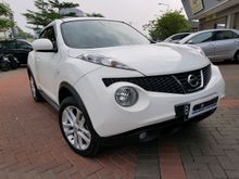 juke RX at 2013 perfect