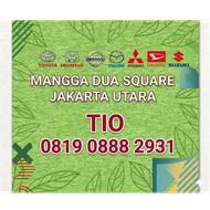 Swiz Auto Car