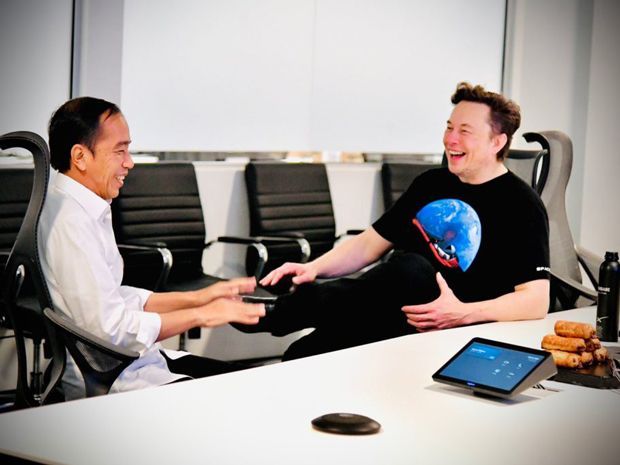 CEO Tesla Elon Musk