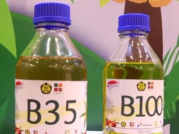 BBM Biodiesel
