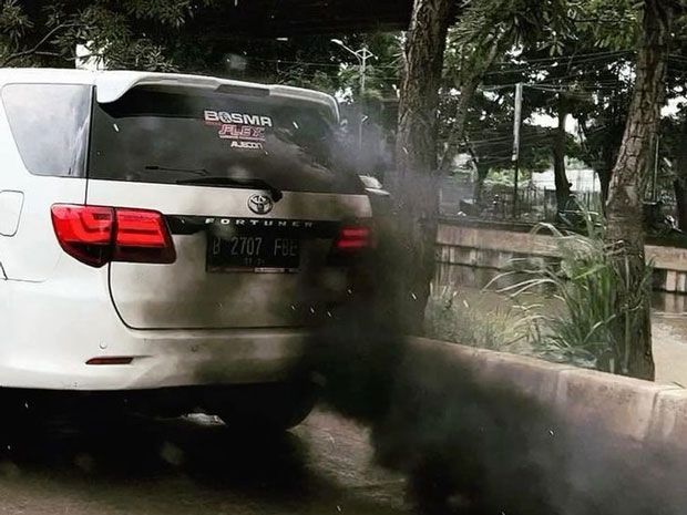 modifikasi cumi-cumi darat