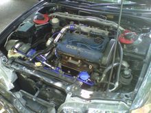 Perdana Evo 3 (M)