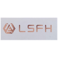 LSFH AUTO SDN. BHD.