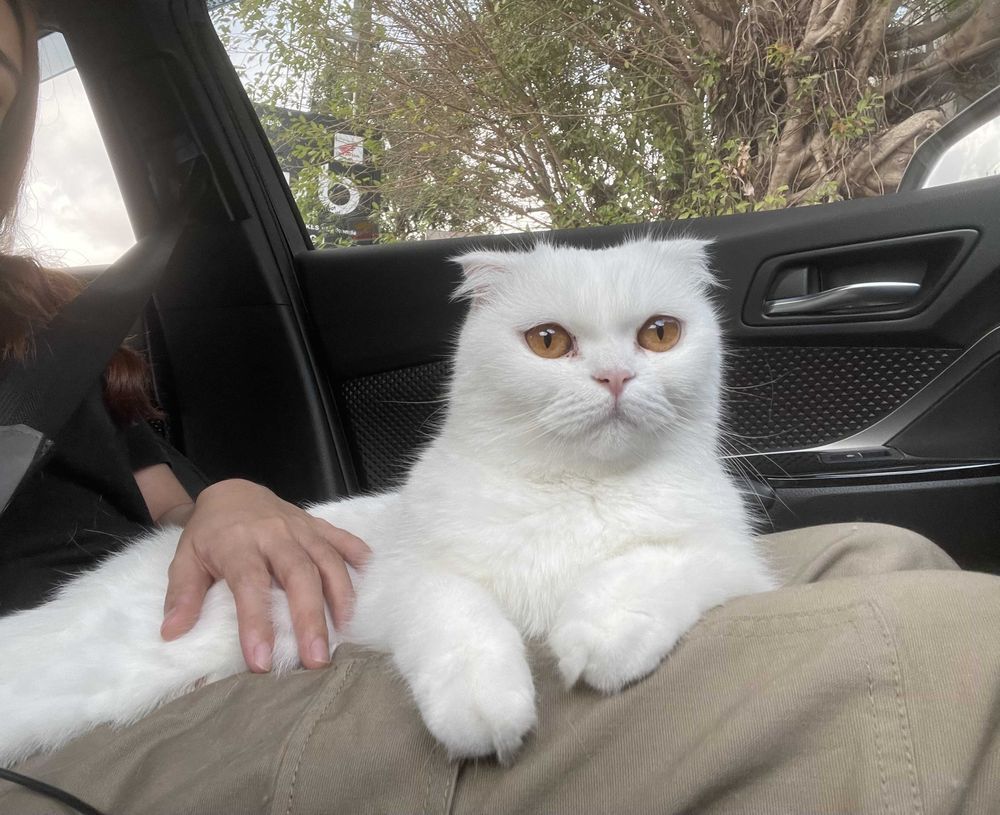 ประสบการณ์ใช้ Mazda 2 Sedan