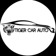 Tiger car auto