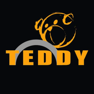 TEDDY  AUTO  SALE